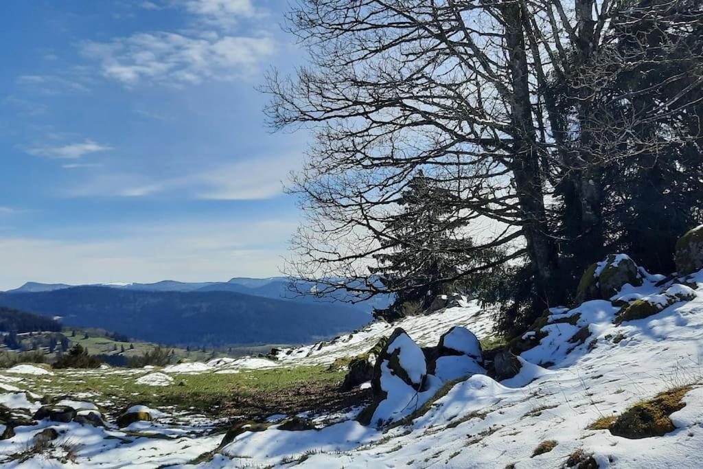 Plain-Pied Proche Base De Loisirs Et Voie Verte Saulxures-sur-Moselotte ภายนอก รูปภาพ