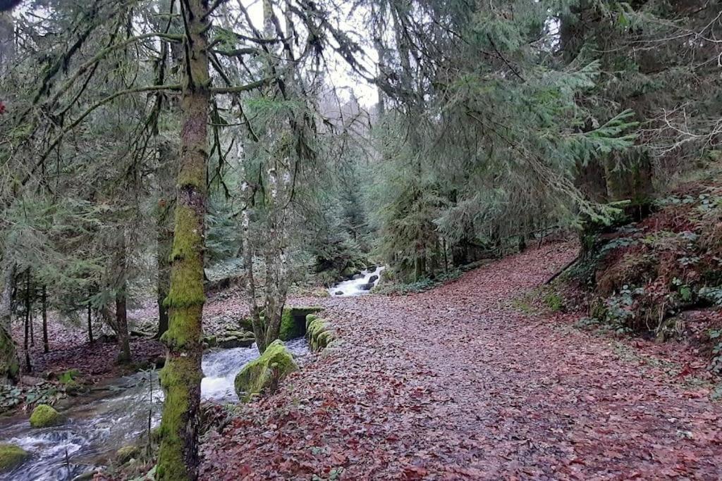 Plain-Pied Proche Base De Loisirs Et Voie Verte Saulxures-sur-Moselotte ภายนอก รูปภาพ