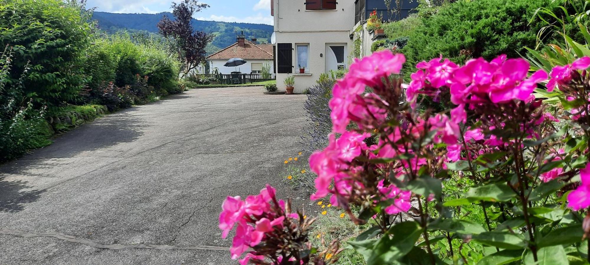 Plain-Pied Proche Base De Loisirs Et Voie Verte Saulxures-sur-Moselotte ภายนอก รูปภาพ